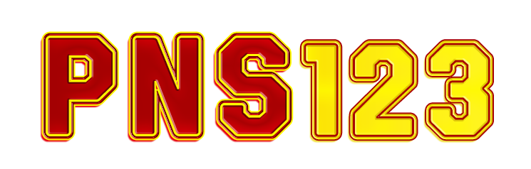 PNS123 Logo